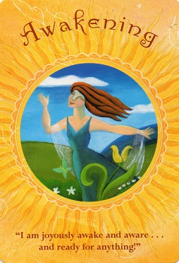 soul coaching oracle cards1